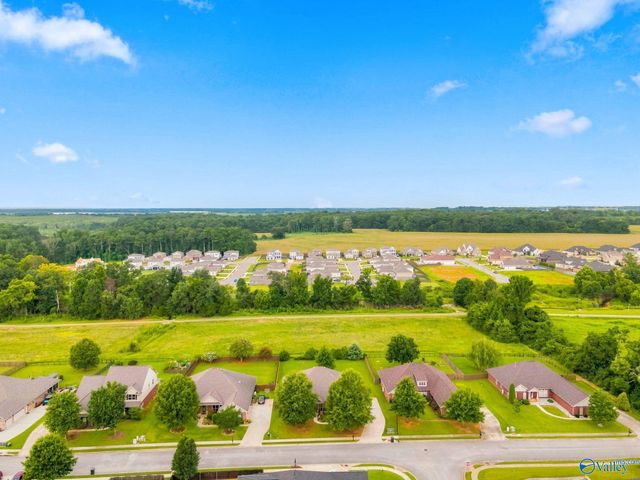107 Golden Ash Court, Madison, AL 35756