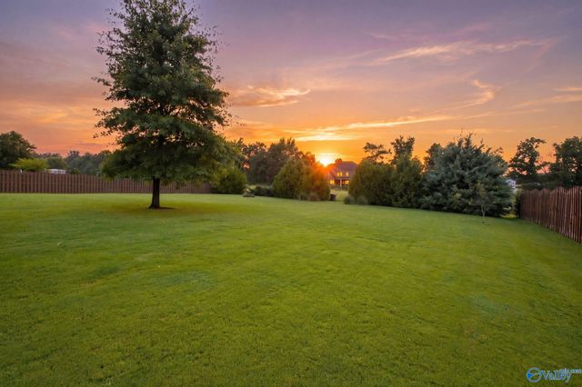 107 Golden Ash Court, Madison, AL 35756