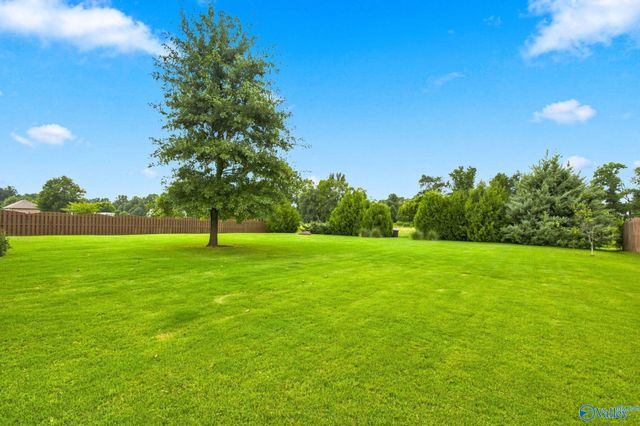 107 Golden Ash Court, Madison, AL 35756