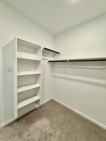 19834 Sienna Green Drive, Hockley, TX 77447