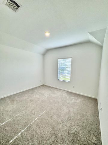 19834 Sienna Green Drive, Hockley, TX 77447