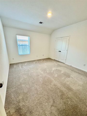 19834 Sienna Green Drive, Hockley, TX 77447