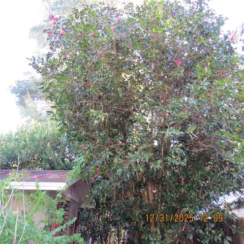 3617 SW 20TH STREET, Gainesville, FL 32608