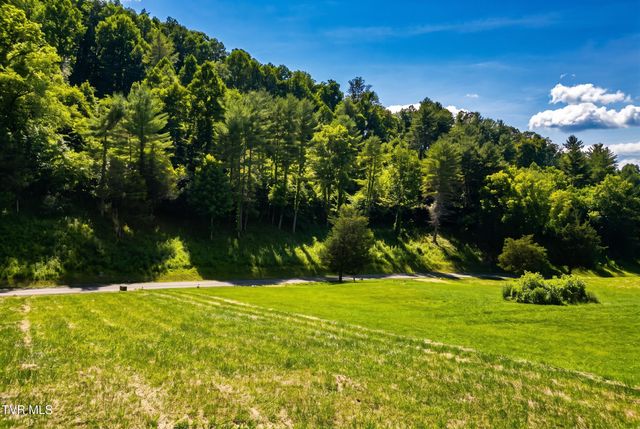 Lot 18 Vineyard Valley Trail, Butler, TN 37640