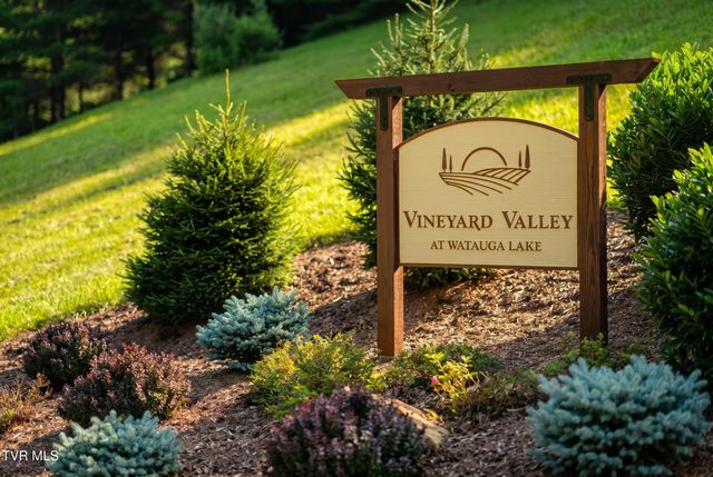 Lot 18 Vineyard Valley Trail, Butler, TN 37640