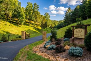 Lot 18 Vineyard Valley Trail, Butler, TN 37640