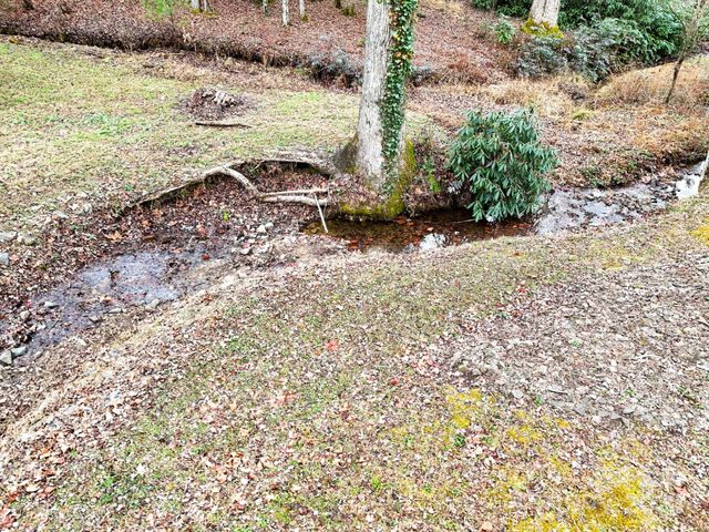 1133 Glen Cannon Drive, Pisgah Forest, NC 28768