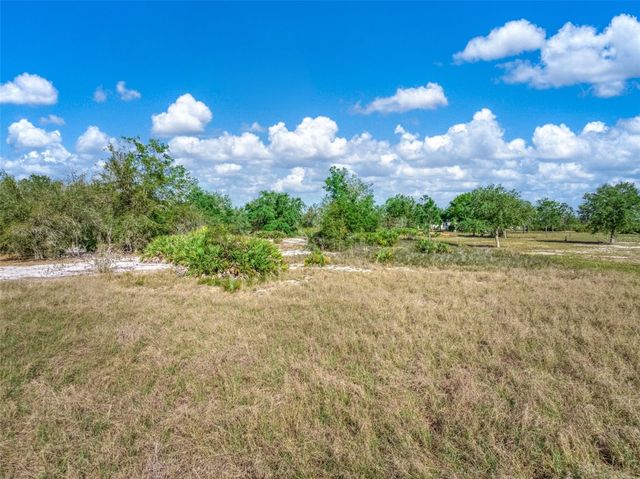 523 S DICKEY ROAD, Avon Park, FL 33825