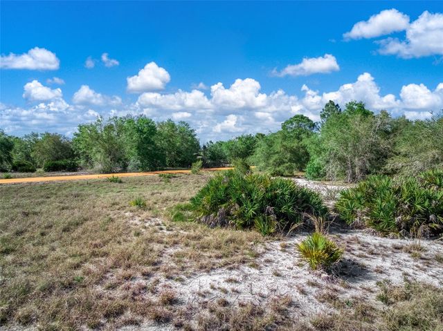 523 S DICKEY ROAD, Avon Park, FL 33825