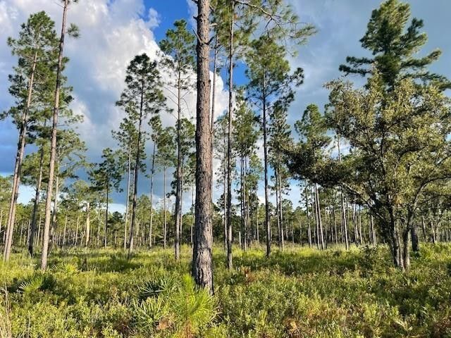 2114 Mill Creek Road, Patterson, GA 31557