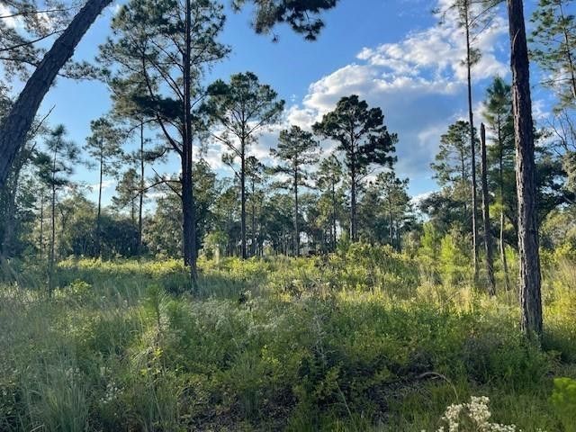 2114 Mill Creek Road, Patterson, GA 31557