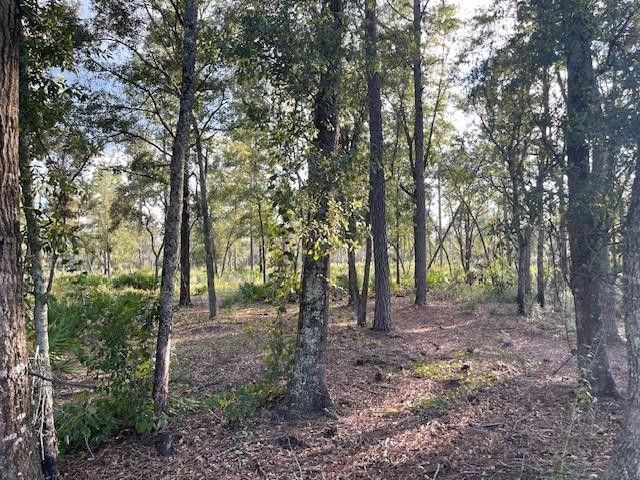 2114 Mill Creek Road, Patterson, GA 31557