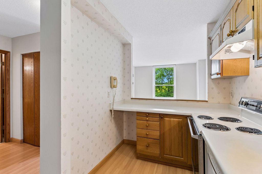 1425 W 28th Street 315, Minneapolis, MN 55408 — photo 4