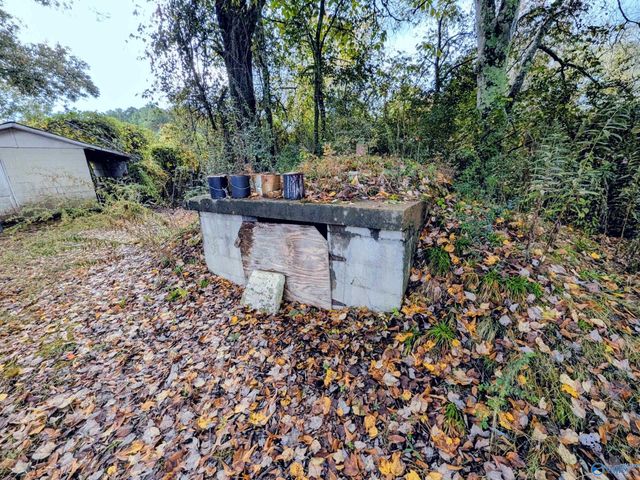 4705 Joe Davis Drive, Decatur, AL 35603