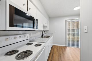 620 W 51st ST 103, Austin, TX 78751