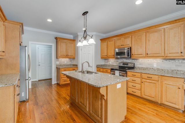 508 Links Pointe Court, Chapin, SC 29036