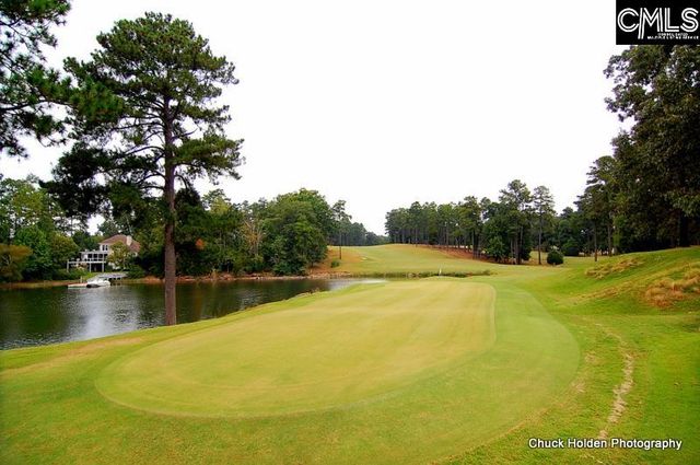 508 Links Pointe Court, Chapin, SC 29036