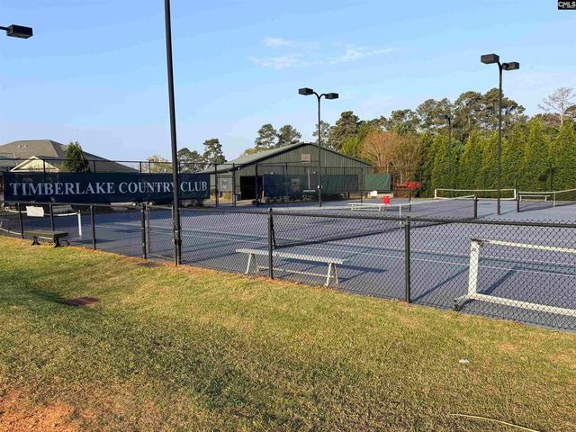 508 Links Pointe Court, Chapin, SC 29036