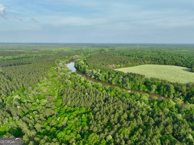 47 Southgate Lane, Hawkinsville, GA 31036