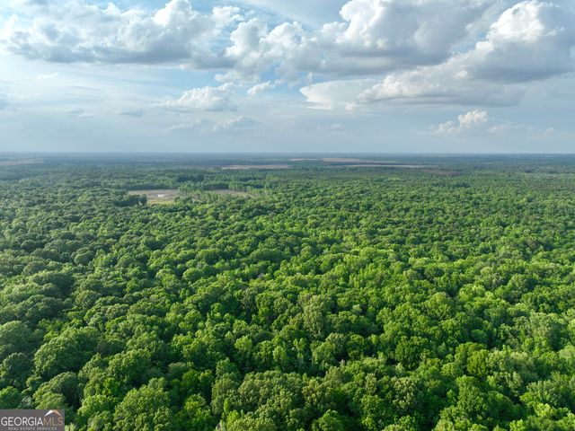 47 Southgate Lane, Hawkinsville, GA 31036