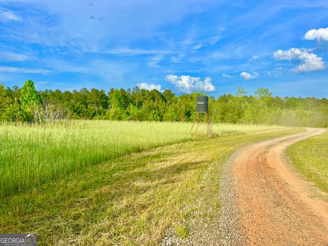 47 Southgate Lane, Hawkinsville, GA 31036