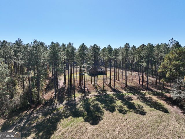 47 Southgate Lane, Hawkinsville, GA 31036