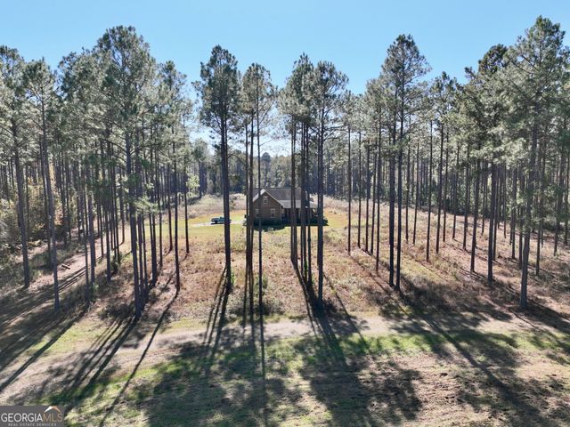 47 Southgate Lane, Hawkinsville, GA 31036