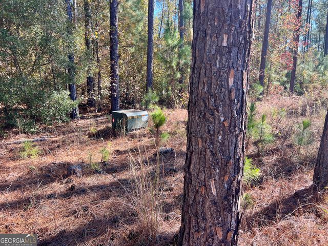 47 Southgate Lane, Hawkinsville, GA 31036