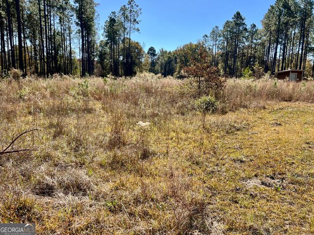 47 Southgate Lane, Hawkinsville, GA 31036