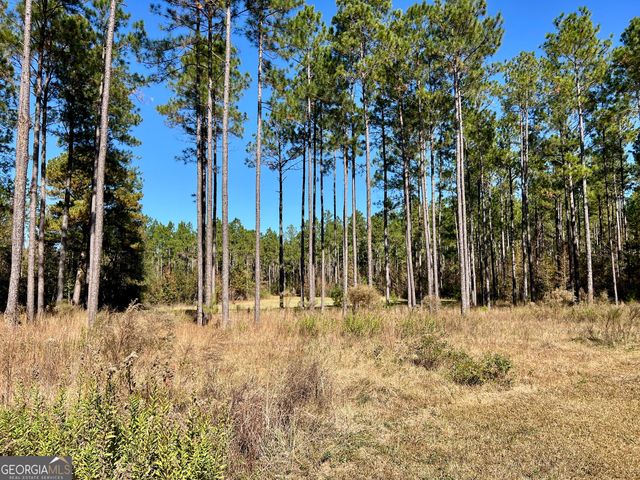 47 Southgate Lane, Hawkinsville, GA 31036