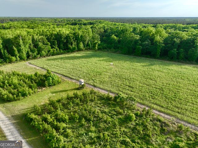 47 Southgate Lane, Hawkinsville, GA 31036