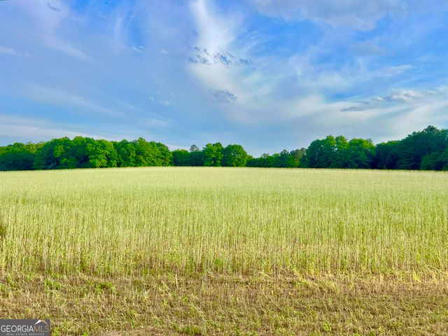 47 Southgate Lane, Hawkinsville, GA 31036