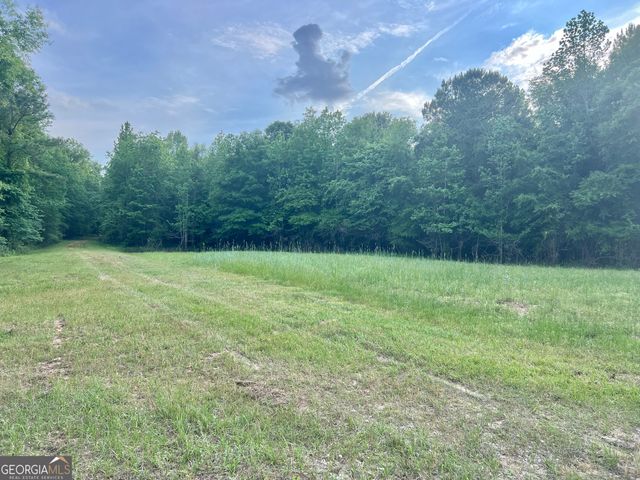 47 Southgate Lane, Hawkinsville, GA 31036