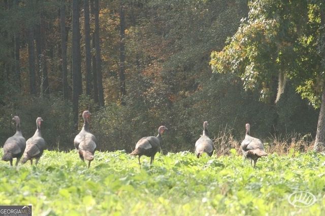 47 Southgate Lane, Hawkinsville, GA 31036