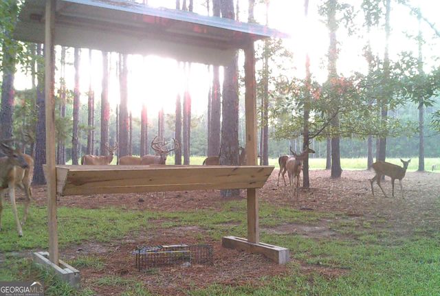 47 Southgate Lane, Hawkinsville, GA 31036