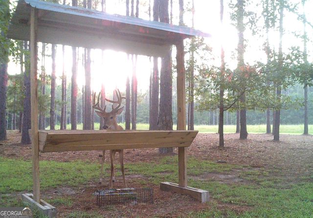 47 Southgate Lane, Hawkinsville, GA 31036