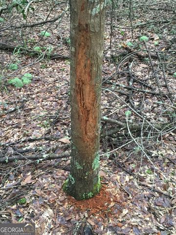 47 Southgate Lane, Hawkinsville, GA 31036