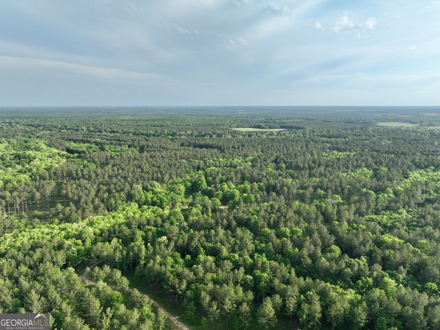 47 Southgate Lane, Hawkinsville, GA 31036