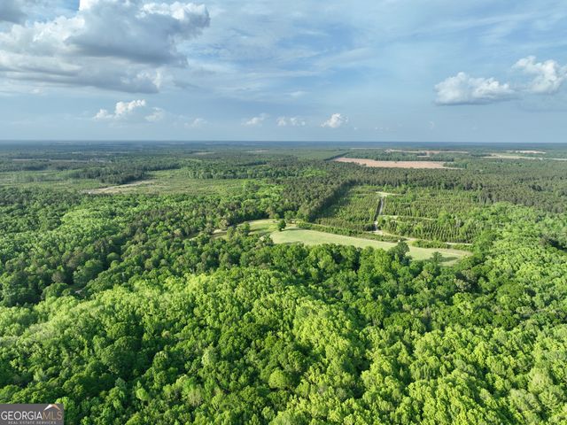 47 Southgate Lane, Hawkinsville, GA 31036