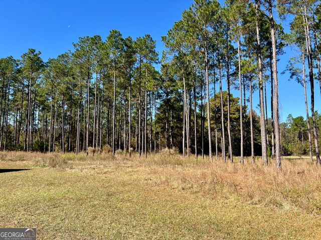 47 Southgate Lane, Hawkinsville, GA 31036