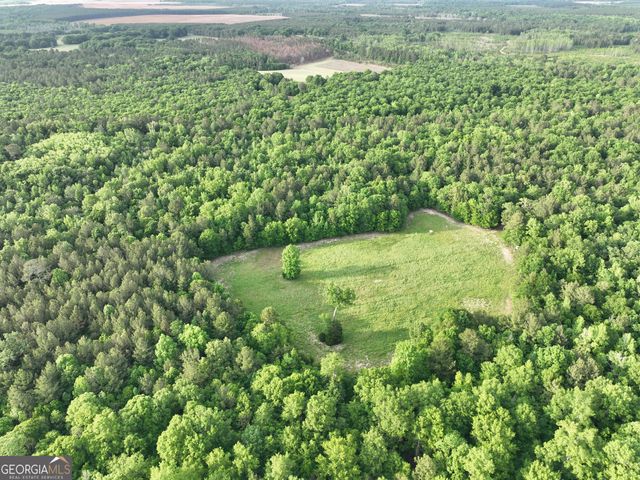 47 Southgate Lane, Hawkinsville, GA 31036