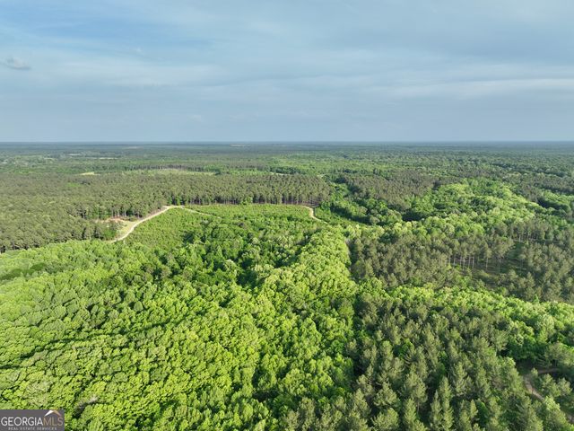 47 Southgate Lane, Hawkinsville, GA 31036