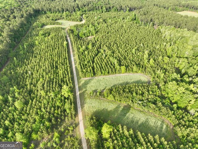 47 Southgate Lane, Hawkinsville, GA 31036