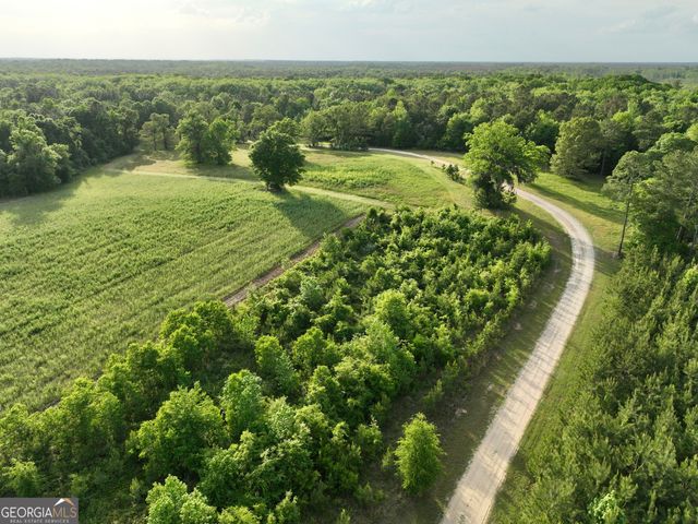 47 Southgate Lane, Hawkinsville, GA 31036