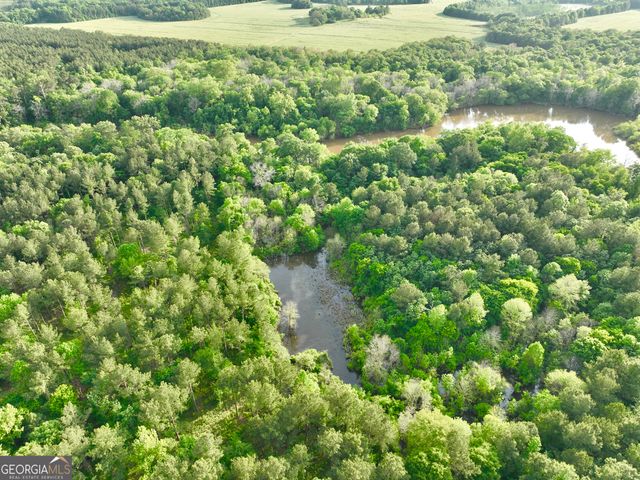 47 Southgate Lane, Hawkinsville, GA 31036