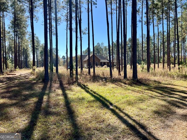 47 Southgate Lane, Hawkinsville, GA 31036