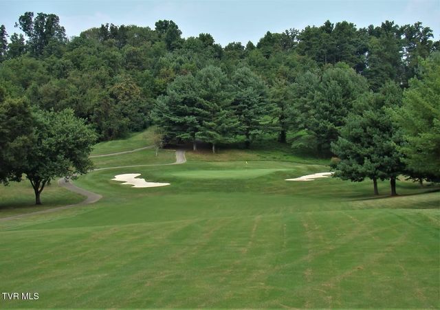 40 North Berwick Lane, Chuckey, TN 37641
