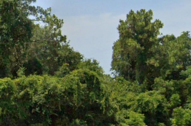 SE 17TH LANE, Ocklawaha, FL 32179