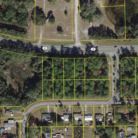 SE 17TH LANE, Ocklawaha, FL 32179