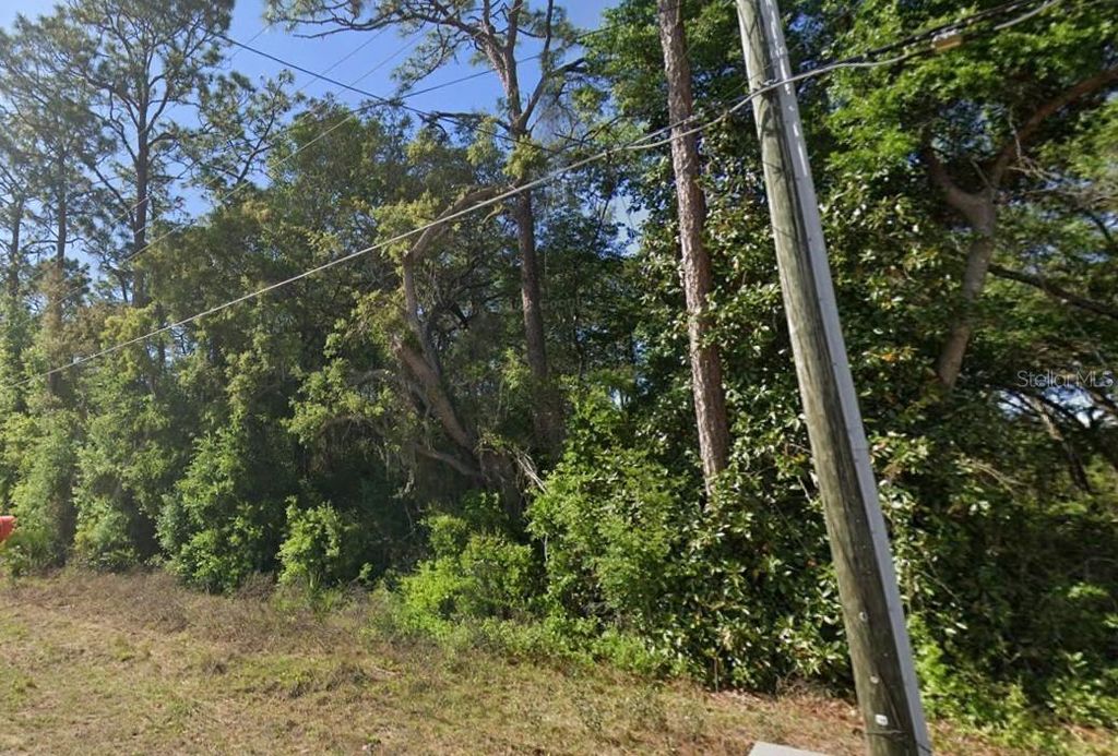 SE 17TH LANE, Ocklawaha, FL 32179